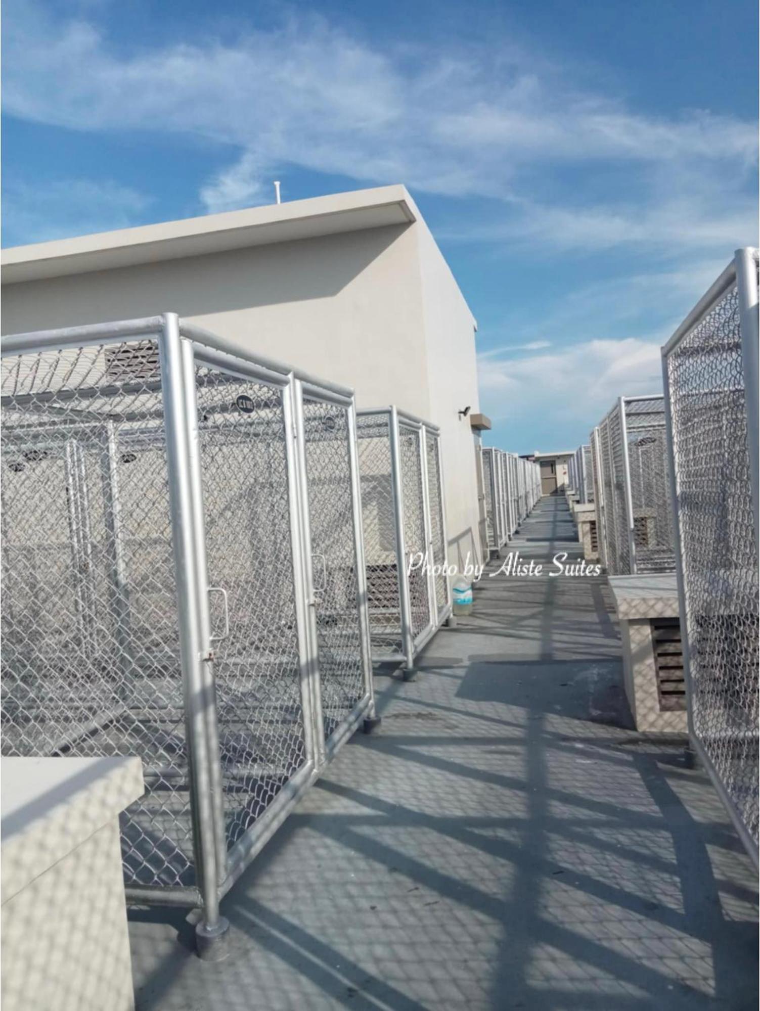 Dumaguete City Aliste Suites Marina Spatial מראה חיצוני תמונה